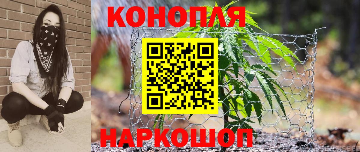 Марихуана тримм  МАРИХУАНА индика  Бошки Шишки Ganja  Вход с VPN  МАРИХУАНА MAZAR  Кисловодск 